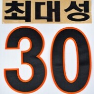 NEPOS롯데홈마킹키트최대성30[검]
